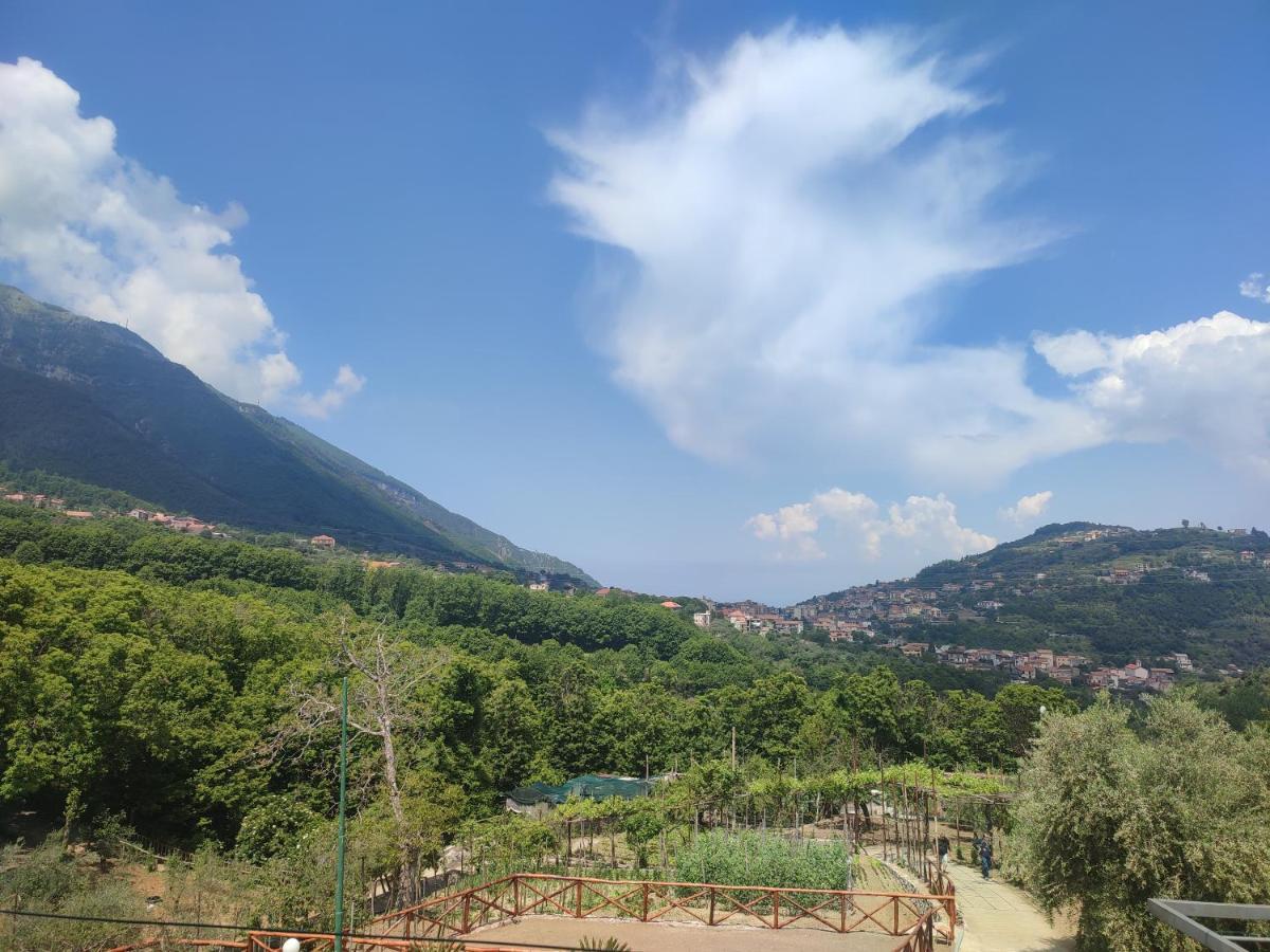 La Masseria Pimonte Kültér fotó